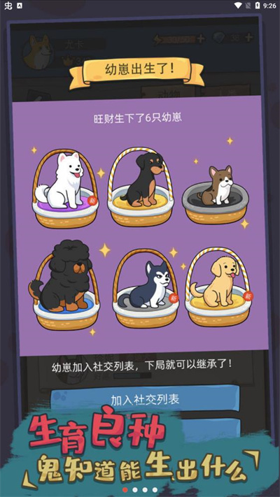 狗生模拟器官方正版下载